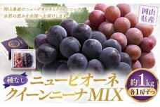【種なし】 岡山県産 ニューピオーネ ・ クイーンニーナ MIX 1kg箱（各1房ずつ） 【2025年8月下旬～9月上旬発送予定】 ／ ぶどう ブドウ 葡萄 大粒 種なし 種無し フルーツ 果物 くだもの 果実 セット 特別セット