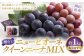 【種なし】 岡山県産 ニューピオーネ ・ クイーンニーナ MIX 1kg箱（各1房ず）