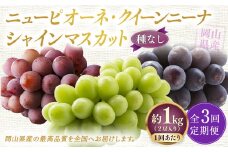 【定期便3回】 ［種なし］ 岡山県産 ニューピオーネ ・ クイーンニーナ ・ シャインマスカット 1kg箱（2房入り） 【2025年8月下旬発送開始】 ／ ぶどう ブドウ 葡萄 大粒 種なし 種無し フルーツ 果物 くだもの 果実