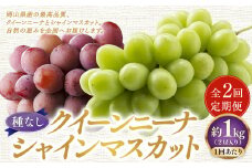 【定期便2回】 ［種なし］ 岡山県産 クイーンニーナ ・ シャインマスカット 1kg箱（2房入り） 【2025年9月上旬発送開始】 ／ ぶどう ブドウ 葡萄 大粒 種なし 種無し フルーツ 果物 くだもの 果実