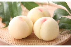 岡山県産 白桃 約2kg （6～8玉） 【2025年7月上旬～8月上旬発送予定】 ／ 桃 もも 果物 果実 フルーツ スイーツ デザート 岡山県 美咲町 冷蔵