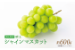 【岡山県産】 シャインマスカット 約600g