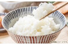 令和7年産 里海米 （キヌムスメ） 10kg 【2025年10月上旬から2026年9月下旬発送予定】 ／ きぬむすめ お米 米 精米 白米 ご飯 岡山県 美咲町