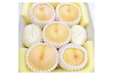 岡山県美咲町産 桃 【おかやま夢白桃】 5～7玉入り 約2kg 【2025年7月下旬～8月下旬発送予定】 ／ 白桃 もも 果物 果実 フルーツ 国産 岡山県 美咲町 冷蔵