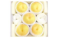 岡山県美咲町産 桃 【西王母】 5～7玉入り 約2kg 【2025年9月発送予定】／ 白桃 もも 果物 果実 フルーツ 国産 岡山県 美咲町 冷蔵
