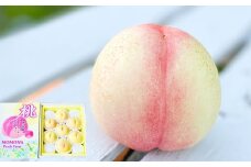 19種類の桃を育てる！ モモナピーチファームの桃 2.0kg（7～9玉） 【2025年6月上旬から10月下旬迄発送予定】 ／ 桃 もも モモ ピーチ 白桃 はくとう 清水白桃 白鳳 恋みらい 旬の桃 果物 くだもの フルーツ 果実 デザート