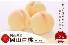 白桃 5玉 （1.5kg以上） 等級 ： ロイヤル 木箱入り 【2025年7月上旬～8月上旬迄発送予定】 ／ 桃 もも モモ はくとう 果物 くだもの フルーツ 果実 デザート 冷蔵