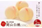 白桃 5玉 （1.5kg以上） 等級 ： ロイヤル 木箱入り