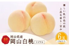 白桃 6玉 （1.5kg以上） 等級 ： ロイヤル 化粧箱入り 【2025年7月上旬～8月上旬迄発送予定】 ／ 桃 もも モモ はくとう 果物 くだもの フルーツ 果実 デザート 冷蔵