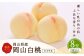 白桃 8玉 （2kg以上） 等級 ： ロイヤル 化粧箱入り