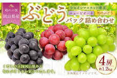 岡山県産 ぶどうパック詰合せ ※3種4パックセット （ ニューピオーネ ・ シャインマスカット ・ 旬のぶどう ） 【2025年9月上旬～10月下旬発送予定】 ／ ぶどう ブドウ 葡萄 種なし 種無し ピオーネ マスカット 晴王 はるお 旬の葡萄 フルーツ 果物 くだもの 果実