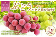 岡山県産 ぶどうパック詰合せ ※2種2パックセット （ シャインマスカット ・ 旬のぶどう ） 【2025年9月上旬～11月下旬発送予定】 ／ ぶどう ブドウ 葡萄 種なし 種無し マスカット 晴王 はるお 旬の葡萄 フルーツ 果物 くだもの 果実