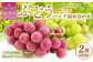 岡山県産 ぶどうパック詰合せ ※2種2パックセット （ シャインマスカット ・ 旬のぶどう ）