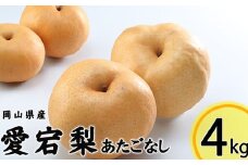 あたご梨 3～6玉 約4kg 【2025年11月下旬～12月下旬迄発送予定】 愛宕梨 梨 なし 和梨 果物 果実 フルーツ 大玉 岡山県 美咲町 常温