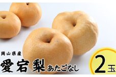 あたご梨 2玉 約1.8kg 【2025年11月下旬～12月下旬迄発送予定】 愛宕梨 梨 なし 和梨 果物 果実 フルーツ 大玉 岡山県 美咲町 常温