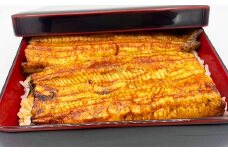 「鰻伶」国産うなぎ 蒲焼 約200g ／ 鰻蒲焼き ギフト ウナギ うなぎ蒲焼き 