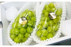【先行予約】 岡山県産 シャインマスカット 2kg 1箱 ／ フルーツ 果物 くだもの 食品 人気 おすすめ 【2025年9月下旬-10月下旬発送予定】
