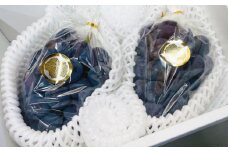【先行予約】 岡山県産 ニューピオーネ 2kg 1箱 ／ ぶどう ブドウ フルーツ 【2025年8月下旬-9月下旬発送予定】 