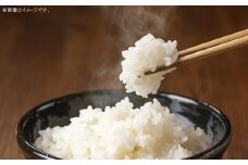 岡山県 美咲町産 きぬむすめ 5kg 令和7年産米先行予約 ／ 白米 お米 米 【2025年11月上旬-2026年10月下旬発送予定】