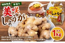 美咲しょうが 1kg ／ 生姜 しょうが ジンジャー