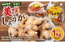 美咲しょうが 1kg ／ 生姜 しょうが ジンジャー