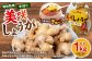 美咲しょうが 1kg