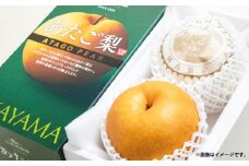 あたご梨 約850g×2玉 計約1.7kg 化粧箱 ／ 愛宕梨 梨 なし ナシ 果物  【2025年11月下旬～12月下旬発送予定】