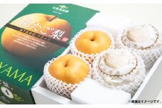 あたご梨 4～9玉 合計約4kg 化粧箱 ／ 愛宕梨 梨 なし ナシ 果物  【2025年11月下旬～12月下旬発送予定】