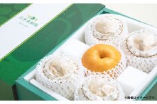 あたご梨 4～9玉 合計約4.5kg 贈答箱 ／ 愛宕梨 梨 なし ナシ 果物  【2025年11月下旬～12月下旬発送予定】