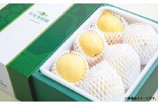 鴨梨 （ヤーリー） 5～7玉 約3kg 贈答箱 ／ 梨 なし ナシ 果物  【2025年11月下旬～12月下旬発送予定】