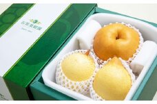 あたご梨 1～2玉 ・ 鴨梨 （ヤーリー） 2～3玉 詰合せ 合計約2kg 贈答箱 ／ 愛宕梨 梨 なし ナシ 果物  【2025年11月下旬～12月下旬発送予定】