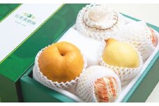 あたご梨 2～3玉 ・ 鴨梨 （ヤーリー） 3～4玉 詰合せ 合計約3kg 贈答箱 ／ 愛宕梨 梨 なし ナシ 果物  【2025年11月下旬～12月下旬発送予定】