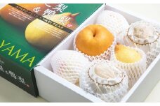あたご梨 2～3玉 ・ 鴨梨 （ヤーリー） 3～6玉 詰合せ 合計約4kg 贈答箱 ／ 愛宕梨 梨 なし ナシ 果物  【2025年11月下旬～12月下旬発送予定】