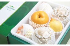 あたご梨 2～3玉 ・ 鴨梨 （ヤーリー） 3～5玉 詰合せ 合計約4.5kg 贈答箱 ／ 愛宕梨 梨 なし ナシ 果物  【2025年11月下旬～12月下旬発送予定】