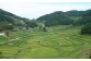 レンジアップごはん 岡山県美咲町大垪和西棚田米（きぬむすめ） 20パックセット
