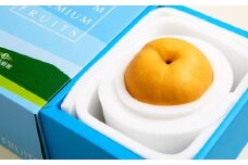 備前横綱梨 （あたご梨） 超大玉 1玉 約1kg～1.4kg 贈答箱 ／ 愛宕梨 梨 なし ナシ 果物  【2025年11月下旬～12月下旬発送予定】