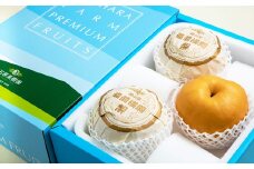 備前横綱梨 （あたご梨） 超大玉 3玉 約1kg～1.4kg 贈答箱 ／ 愛宕梨 梨 なし ナシ 果物  【2025年11月下旬～12月下旬発送予定】