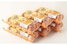 森のたまご（赤玉） 120個（10個入り×12パック） ／ 国産 赤卵 卵 タマゴ