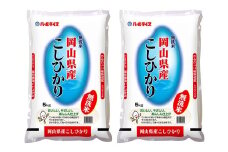 【令和6年産】 〈無洗米〉 岡山県産こしひかり5kg×2袋 合計10kg ／ お米 コメ ライス 【2025年8月下旬まで発送予定】