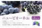 ニューピオーネ（良） 2kg