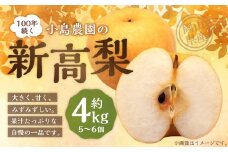 【楽天･チョイス限定】 100年続く小島農園の新高梨 約4kg 5個～6個入り ／ 梨 なし ナシ 新高梨 果物 果実 フルーツ 【2025年10月上旬から10月下旬頃発送予定】