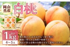 岡山 白桃 4～5玉 （合計1.0kg以上） 【2026年7月上旬～8月上旬 発送予定】 白桃 桃 もも モモ 果物 くだもの フルーツ お取り寄せ 贈り物 ギフト 国産