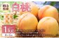 岡山 白桃 4～5玉 （合計1.0kg以上）