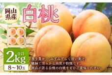 岡山 白桃 8～10玉 （合計2.0kg以上） 【2026年7月上旬～8月上旬 発送予定】 白桃 桃 もも モモ 果物 くだもの フルーツ お取り寄せ 贈り物 ギフト 国産
