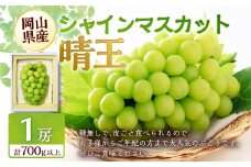 シャインマスカット 晴王 1房 （700g以上） 【2026年9月上旬～10月上旬 発送予定】 シャイン マスカット ぶどう 葡萄 ブドウ 果物 くだもの フルーツ ギフト お取り寄せ 国産
