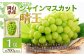 シャインマスカット晴王 1房 （700g以上）