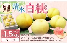 岡山 清水 白桃 5～7玉 （合計1.5kg以上） 【2026年7月上旬～7月下旬 発送予定】 白桃 桃 もも モモ 果物 くだもの フルーツ お取り寄せ 贈り物 ギフト 国産
