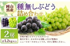 種無しぶどう 詰合せ 2房（合計1.2kg以上） 【2026年9月上旬～10月上旬 発送予定】 シャイン マスカット ぶどう 葡萄 ブドウ 果物 くだもの フルーツ 詰め合わせ セット ギフト お取り寄せ 国産