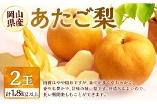 梨 2026年 先行予約 あたご梨 2玉 合計1.8kg以上 環山堂 岡山県産 なし 果物 フルーツ 【2026年11月下旬～12月下旬 発送予定】 ナシ くだもの ギフト お取り寄せ 国産