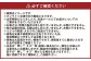 【4回定期便】 フルーツ 2026年 先行予約 4回お届け便！